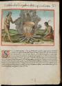 2017-194,1, Book-XV. (15) The Beauty of the Earthenware Vessels in Which They Cook Food 