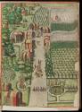 2017-194,1, Book-XX. (20) The Town of Secota