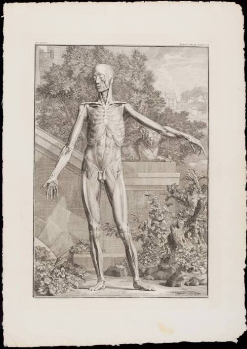 1984-37,1, Print
