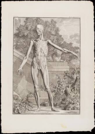 1984-37,1, Print