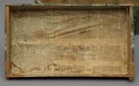 1978-239, Trunk
