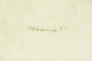 1950-136, Shaving Bowl