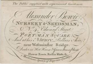 1975-211, Trade Card