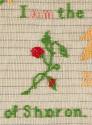 2021.608.1, Sampler