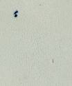 2021-56, Dish