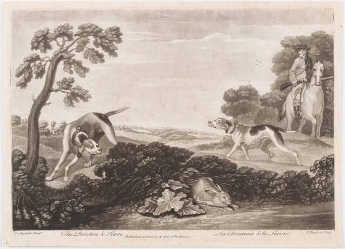 1954-126, Print