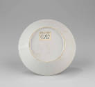 2021-176, Saucer