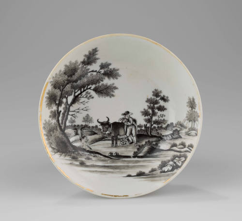2021-176, Saucer