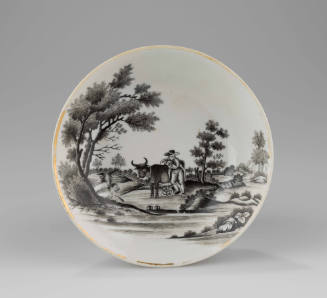 2021-176, Saucer