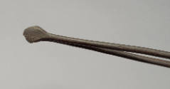 2020-319, Tongs