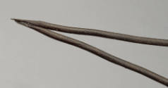 2020-319, Tongs