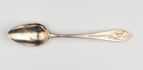 2019-59(X), Teaspoon