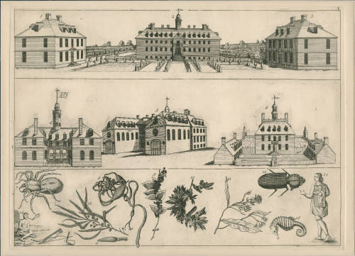 1980-103(R), Print
