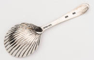 2020-313, Spoon