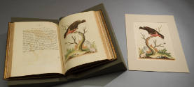 2023-17,2, Book