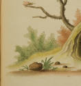 2023-17,2, Book
