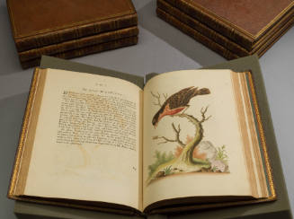 2023-17,2, Book