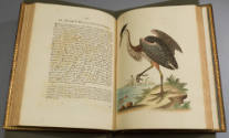 2023-17,3, Book