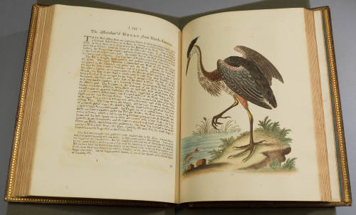 2023-17,3, Book