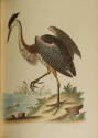 2023-17,3, Book