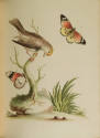 2023-17,4, Book