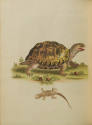 2023-17,4, Book