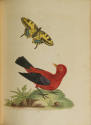 2023-17,7, Book