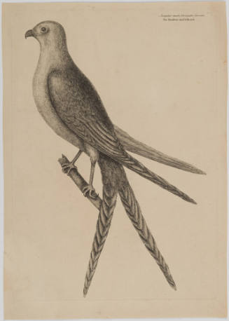 2022-165,1, Print