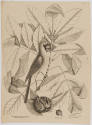 2022-165,2, Print