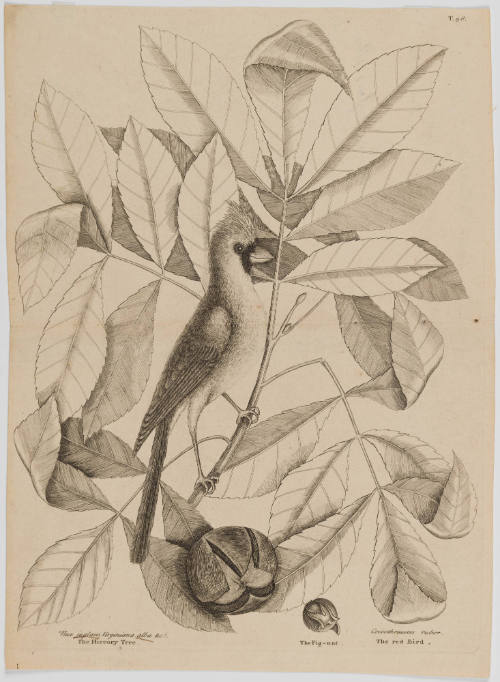 2022-165,2, Print