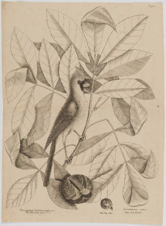 2022-165,2, Print