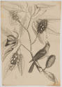 2022-165,3, Print