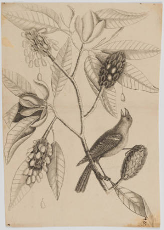 2022-165,3, Print