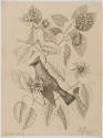 2022-165,4, Print