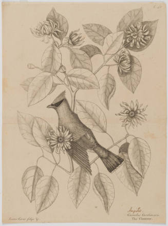2022-165,4, Print