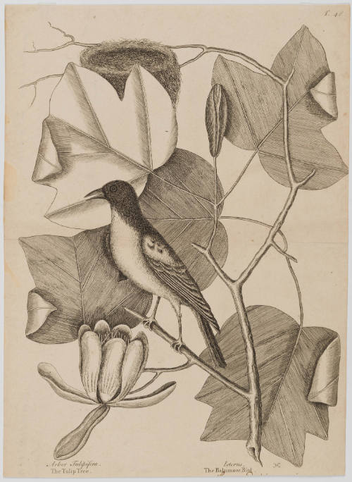 2022-165,5, Print