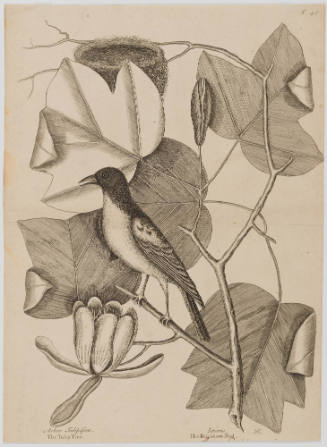 2022-165,5, Print