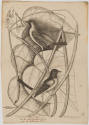 2022-165,6, Print