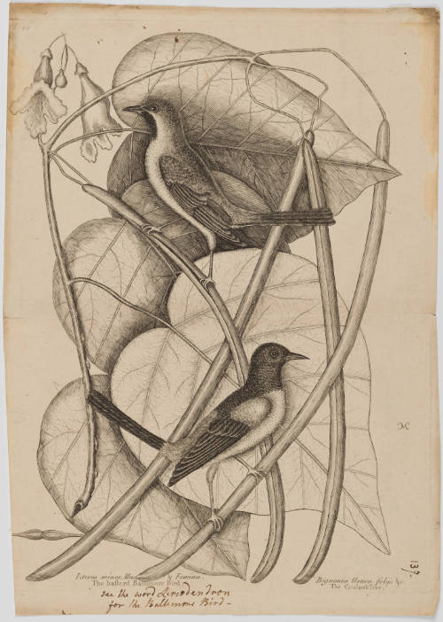 2022-165,6, Print