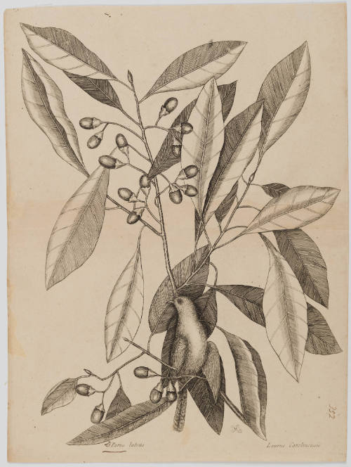 2022-165,7, Print