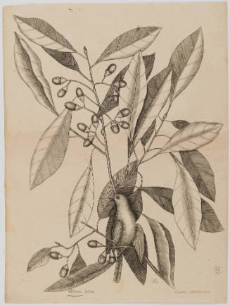 2022-165,7, Print