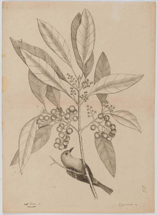 2022-165,8, Print