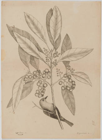 2022-165,8, Print