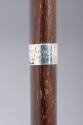 2019-68, Cane or Walking Stick