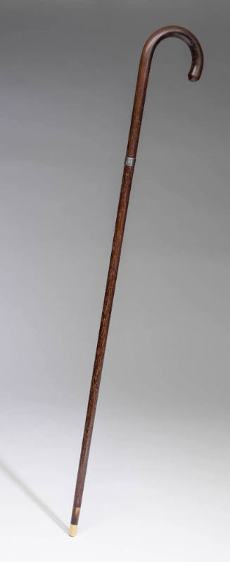 2019-68, Cane or Walking Stick