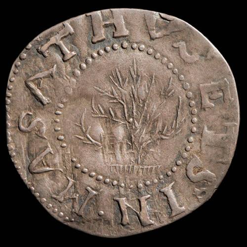 2004-8,5, Coin