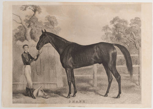 2024-251, Print