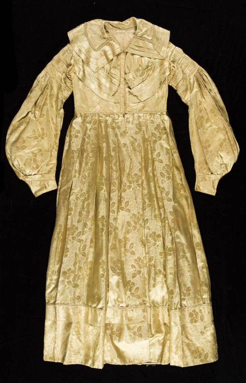 2023-175, Pelisse
