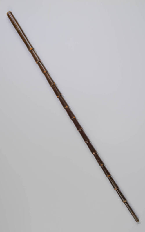 1932-124, Walking Stick