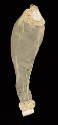 2023-171,B, Sleeve